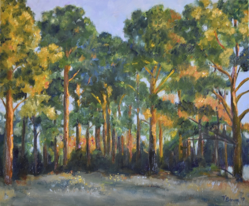 Pines at Dusk by artist Tammy Brown